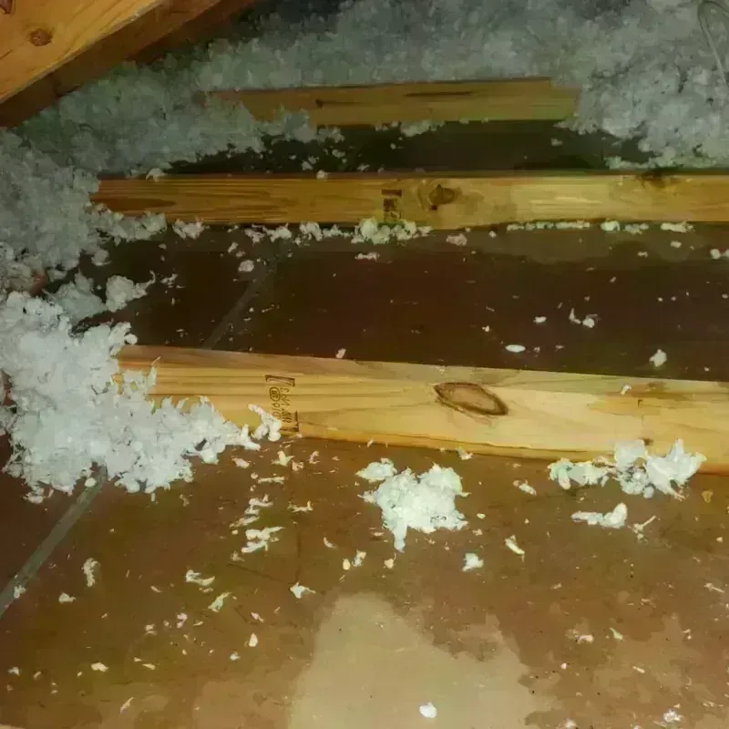 Attic Water Damage in Newburyport, MA